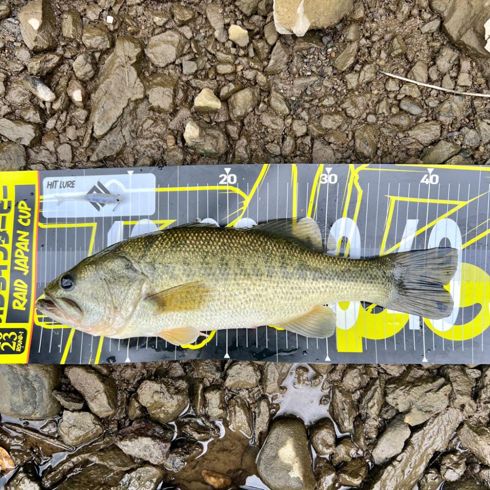 岩盤エリアでの一本🔥