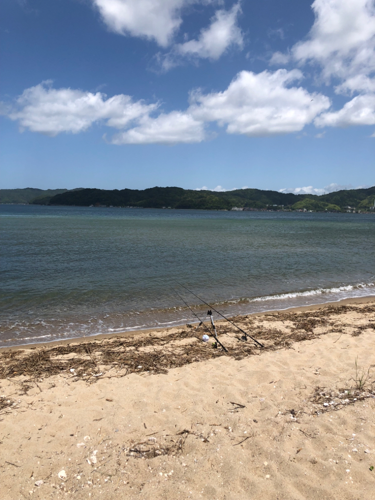 餌取りなしで安心の釣果