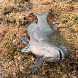 梅雨の晴れ間に…