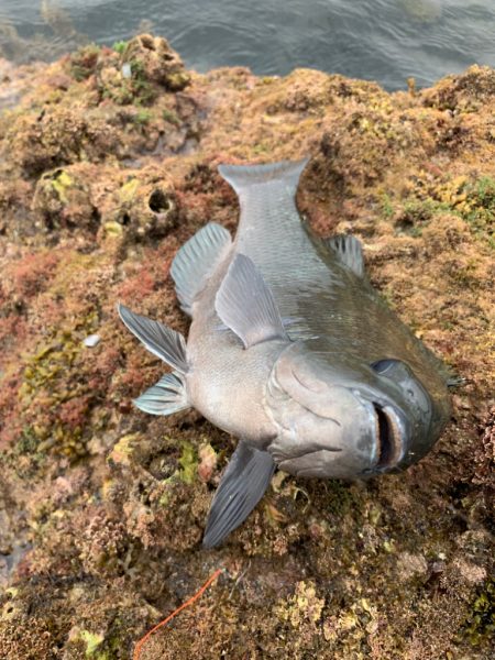 梅雨の晴れ間に…