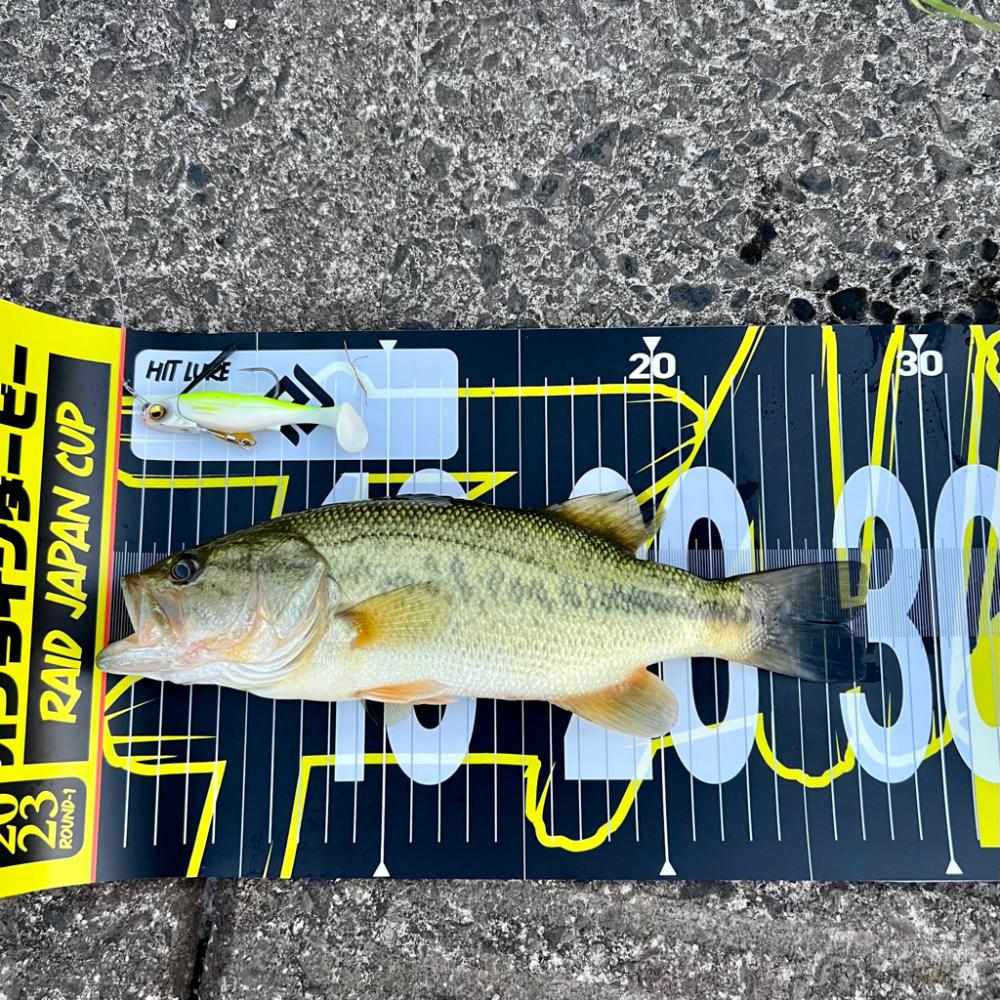 可愛いサイズ❤️