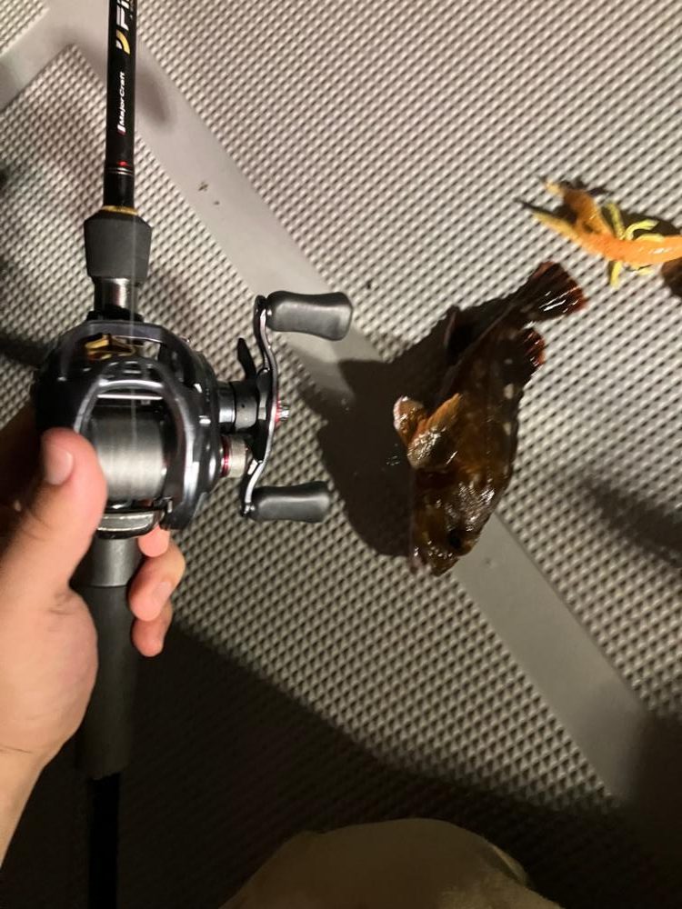 @ボートチニングとアコウ