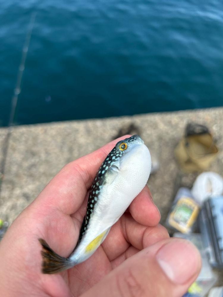 スーパーライトゲーム笑