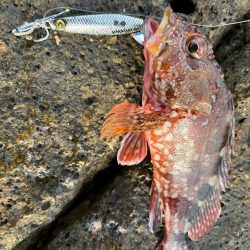 ジャックアイマキマキ新色が大活躍