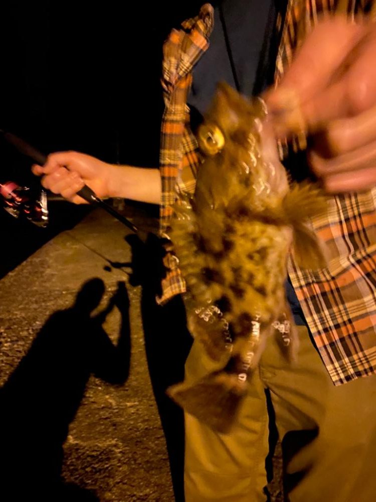 アジング&なんでも釣り