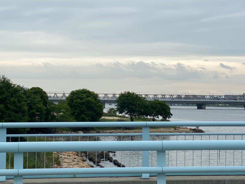 10分で釣って帰る　