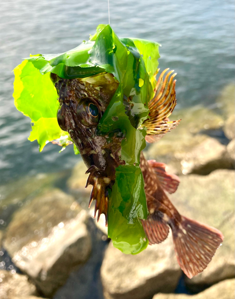 雨上がり調査に!