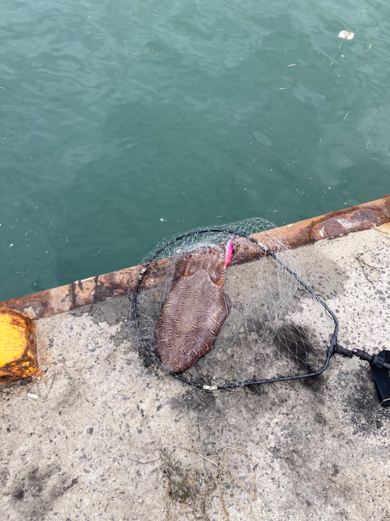 自己最高の大物ゲット！