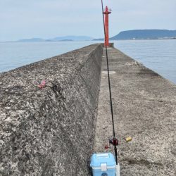 ようやくタコエギでタコが釣れた。