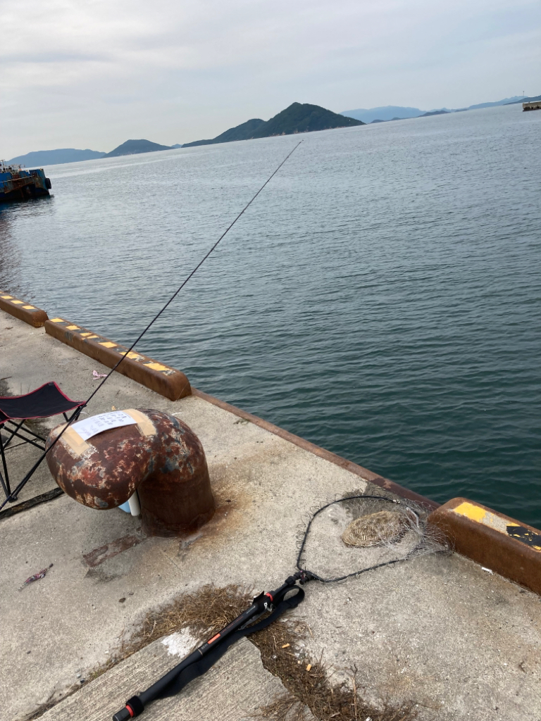 一昨日釣れた興奮今一度！