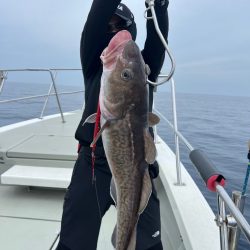 丹後沖　タラジギング　SLJ  ブリキャスティング