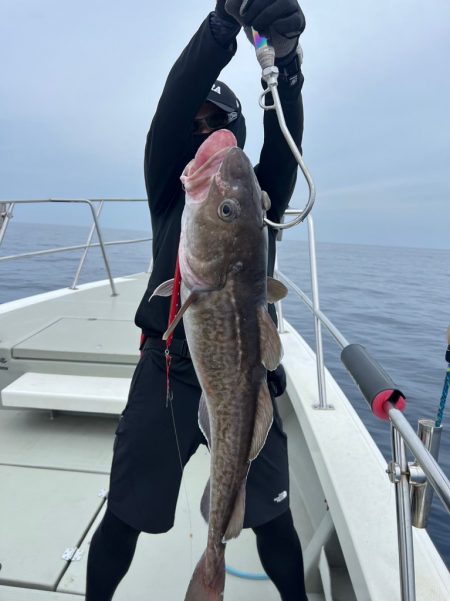 丹後沖　タラジギング　SLJ  ブリキャス…