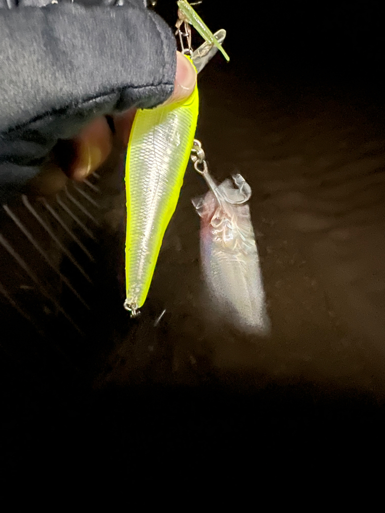 銀ピカファイター