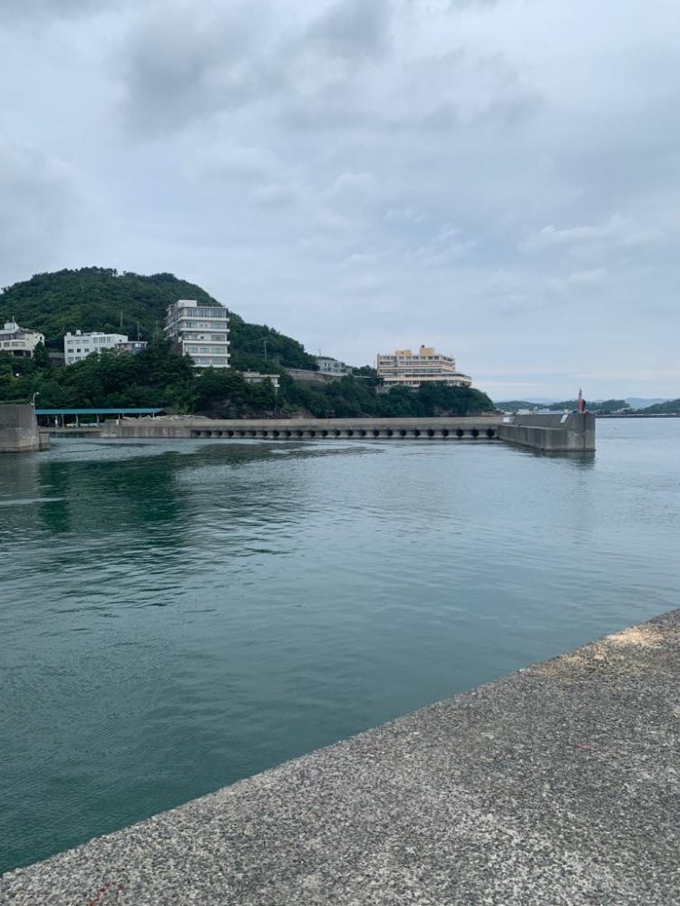 青物の気配ゼロ