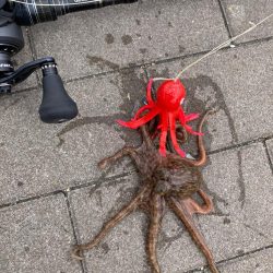 湾奥蛸専出るも。激渋。。3杯。。。