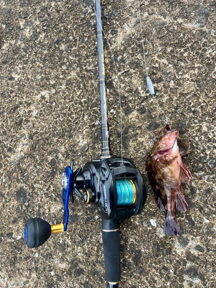 炎天下の中の化け物狙い