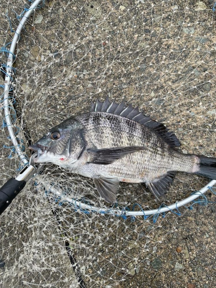雨の日の落とし込み