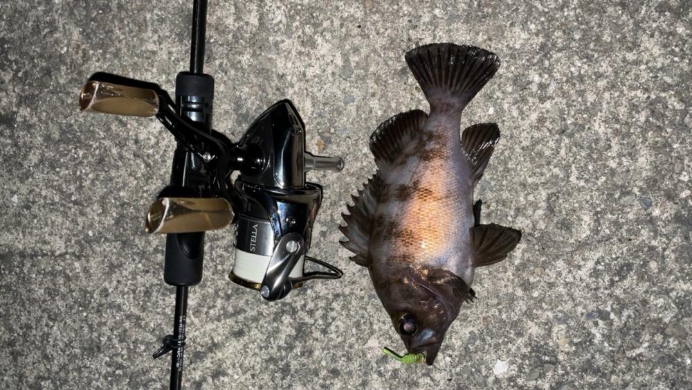 爆風メバリング