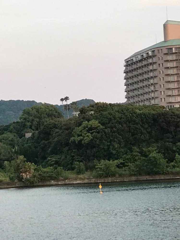 ベラとネンブツダイ