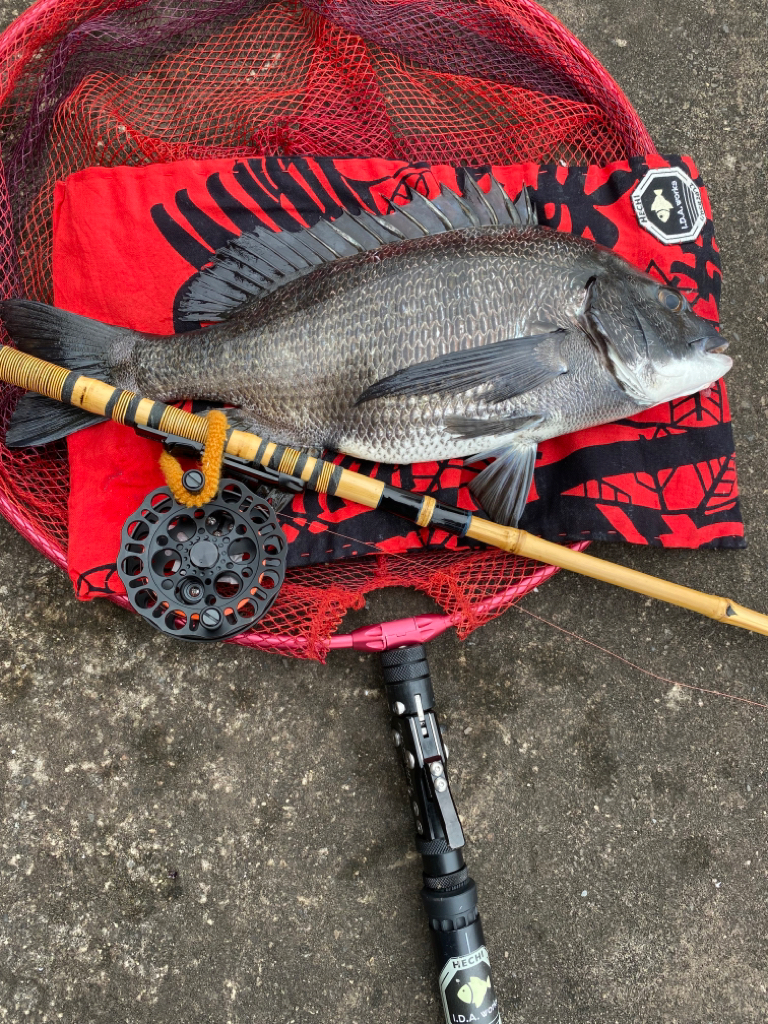 ヘチってきました