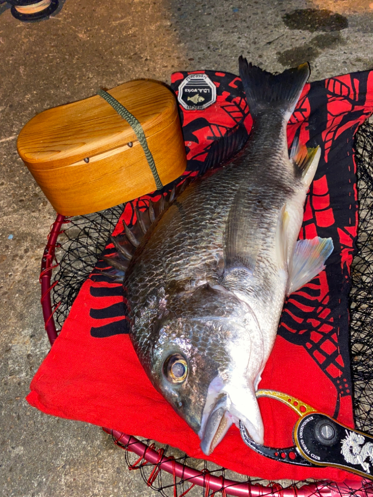 ヘチってきました