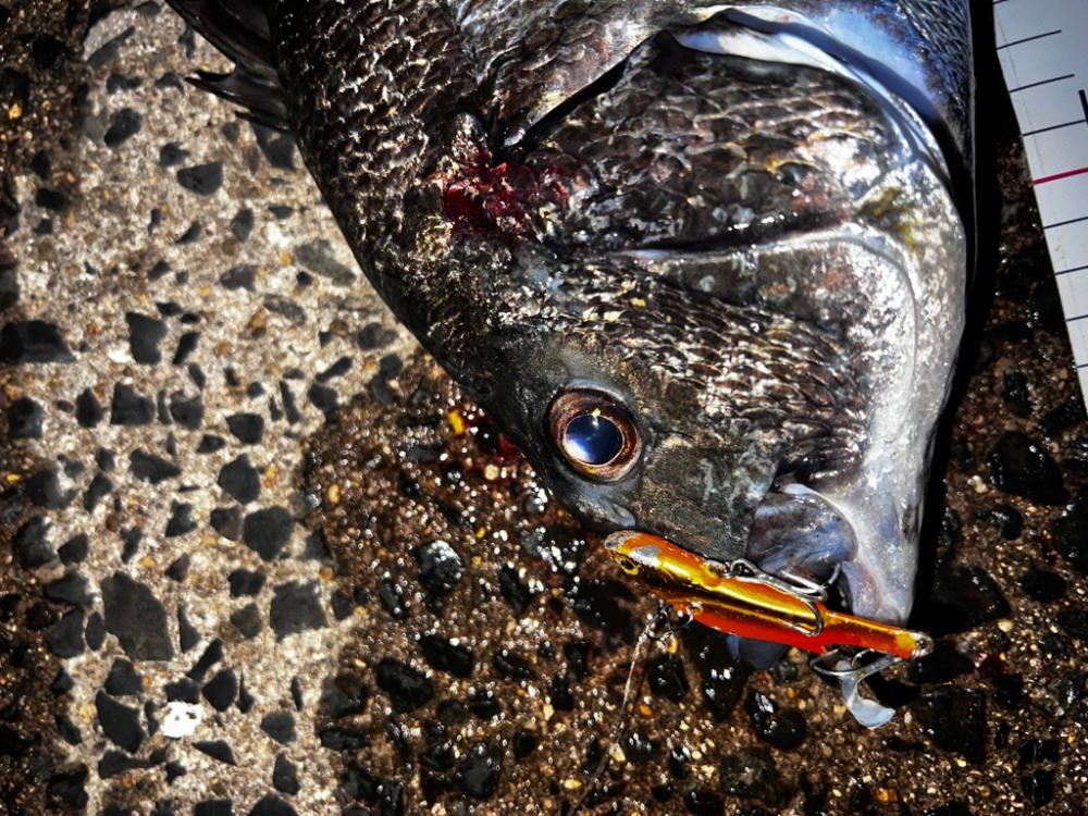 バイブレーションの早巻き!