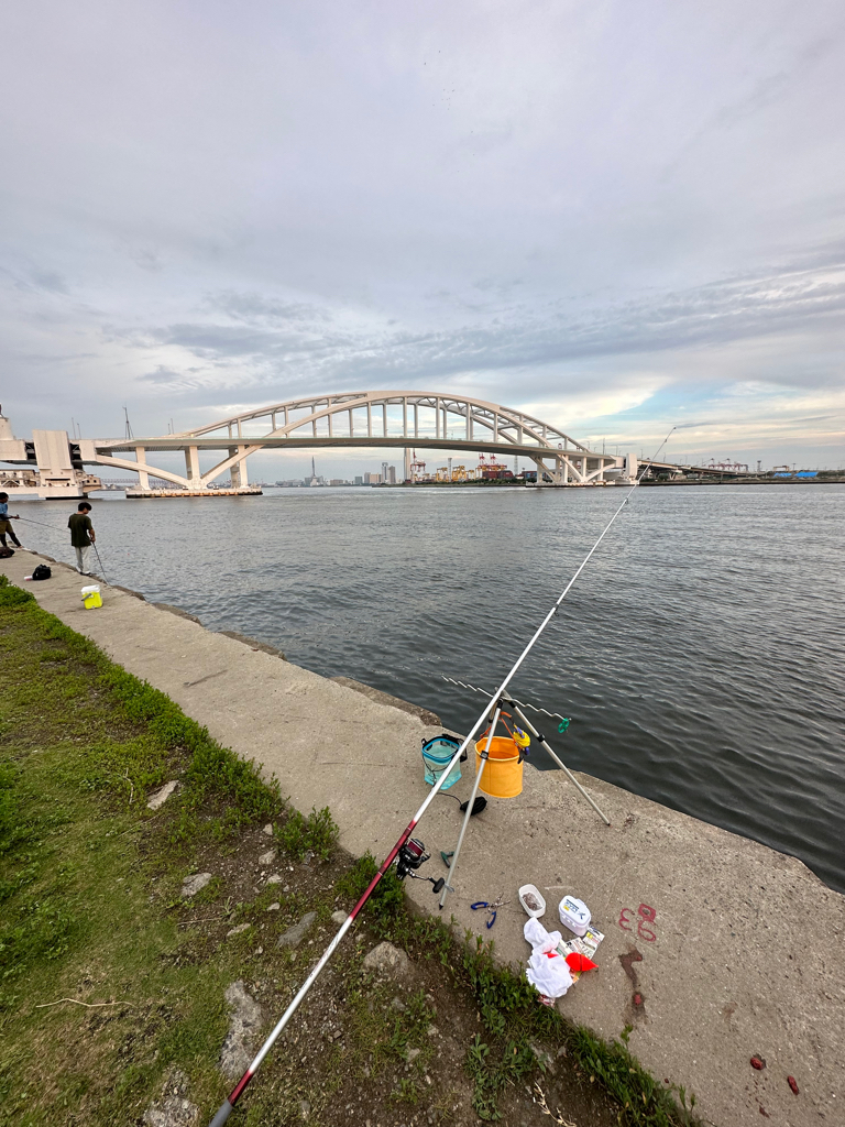 キス釣り🎣