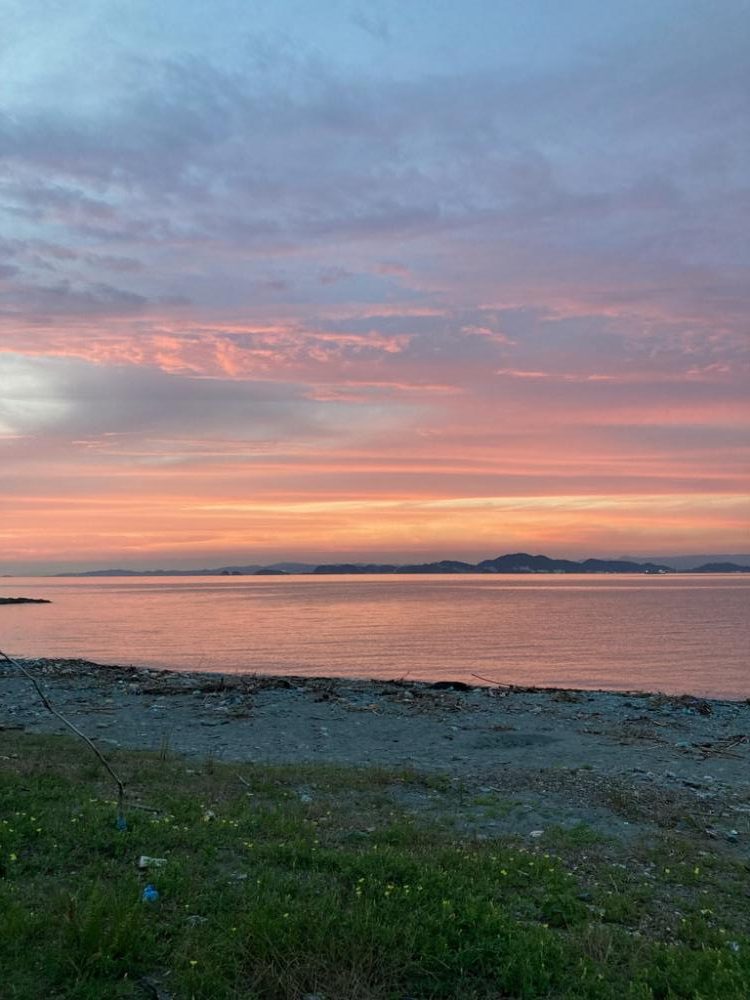 ん?あきらめムードからのイカパンチ!