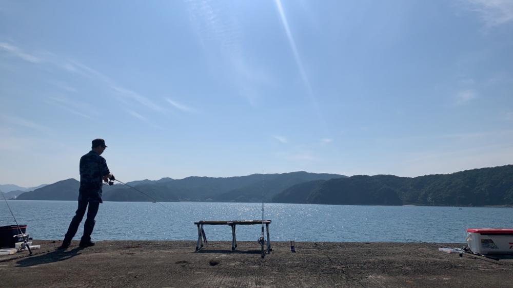 やっと出ました