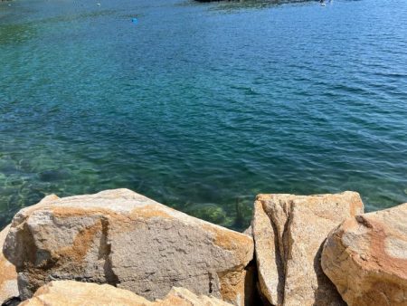 春アオリ狙い撃沈!ルアー投げたらハマチゲット!!