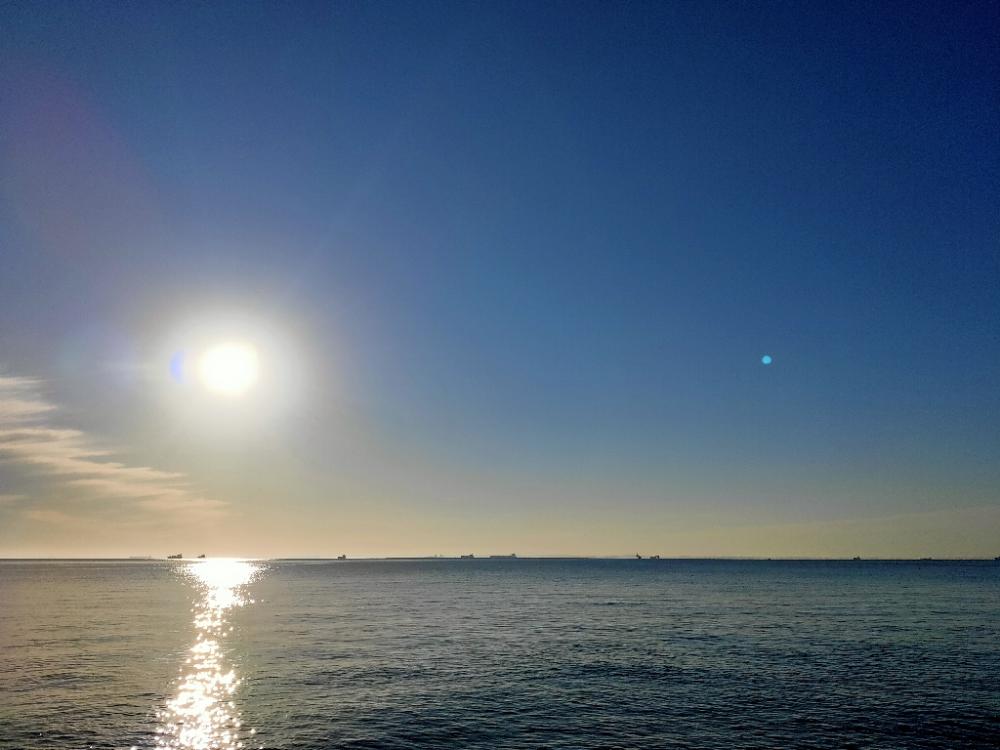 漁船パターンとクサフグ