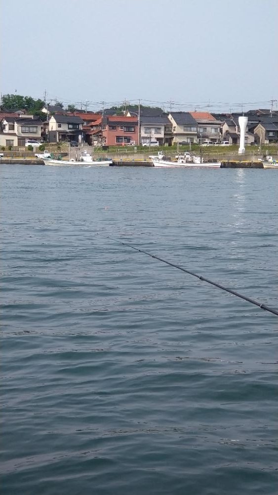 久しぶりの鳥取港釣行