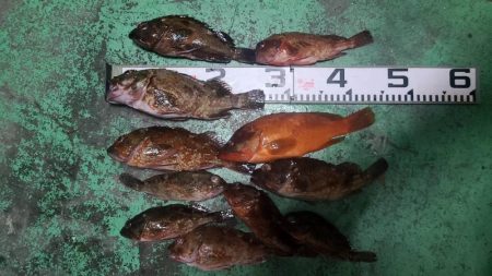 和歌山大引の磯でフカセ釣りのはずが・・