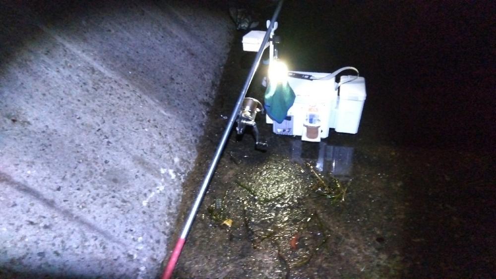 苅屋海岸のキス釣り