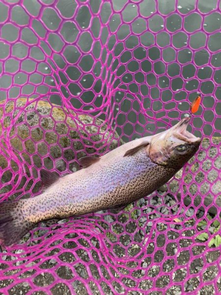 釣食浪漫 ～釣って食べて家庭円満～