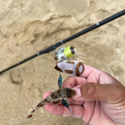 晴天でキスも釣れて大満足でした