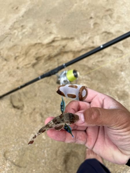 晴天でキスも釣れて大満足でした