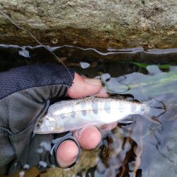 梅雨時は日本海を釣れ