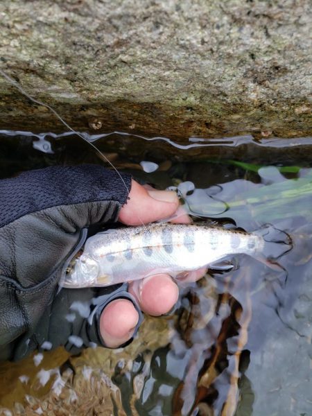 梅雨時は日本海を釣れ