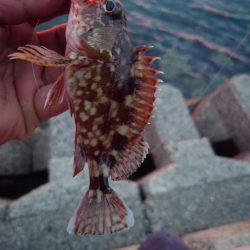 早く仕事終わったので