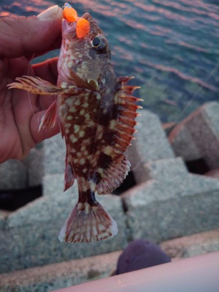 早く仕事終わったので