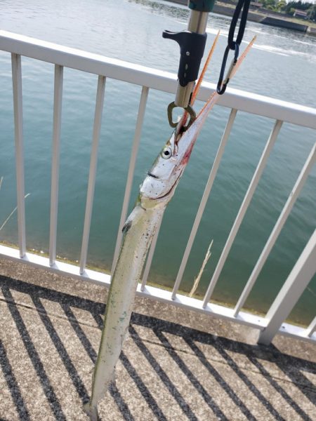 シーバスリベンジ2