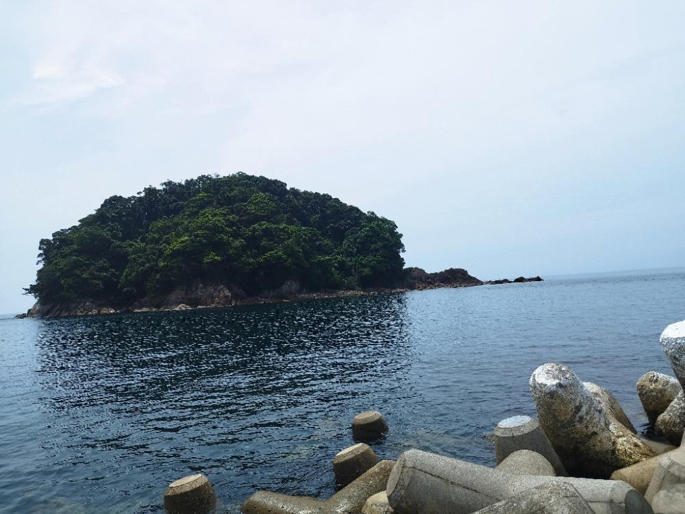 ここにもいた！アカハタ