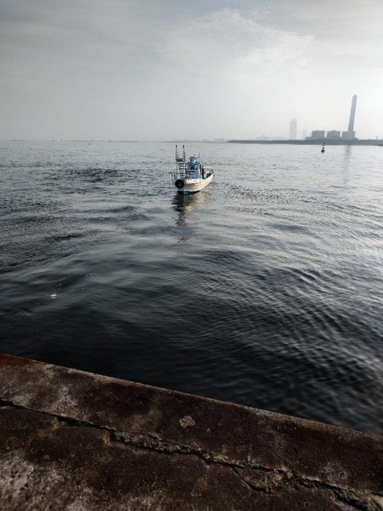 今年初青物&最高記録&初タコ