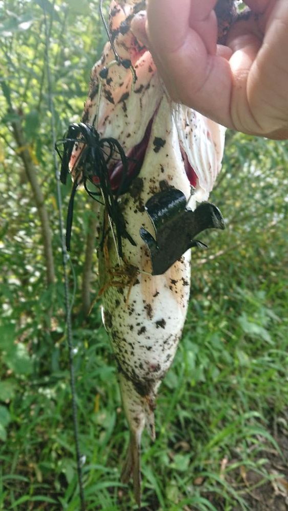 5本リミットメイク