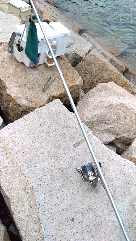 室津のキス釣り