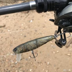 赤水でもバイト連発