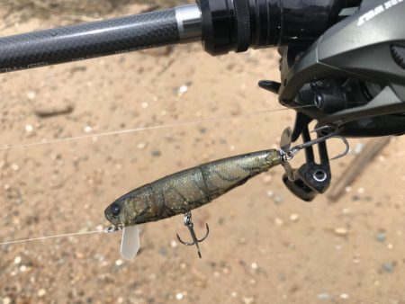 赤水でもバイト連発