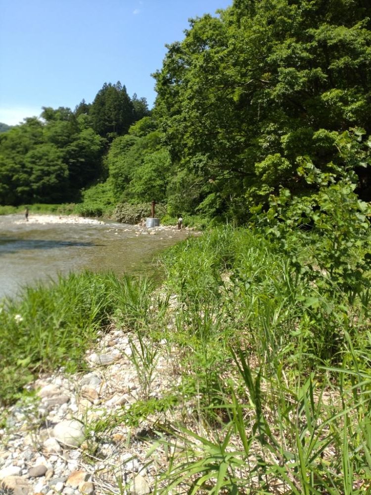 イワナ1匹！（お）