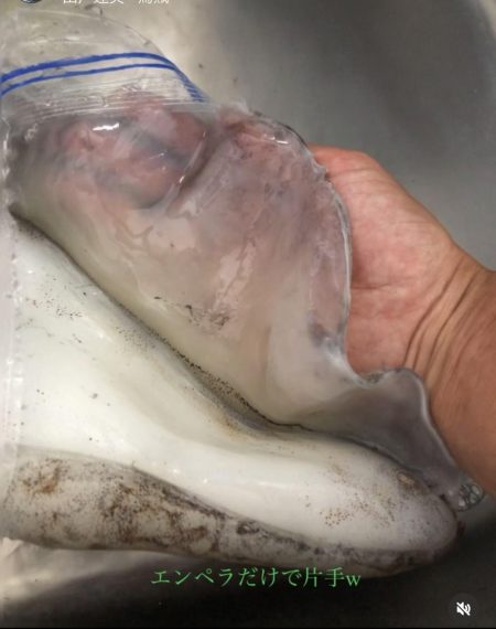 でました‼︎2kg‼︎